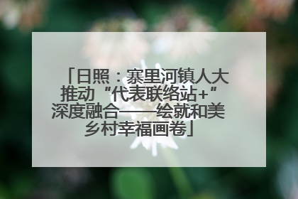 日照：寨里河镇人大推动“代表联络站+”深度融合——绘就和美乡村幸福画卷