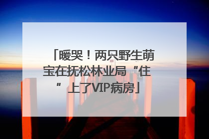 暖哭！两只野生萌宝在抚松林业局“住”上了VIP病房