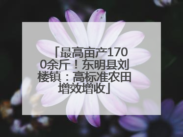 最高亩产1700余斤！东明县刘楼镇：高标准农田增效增收