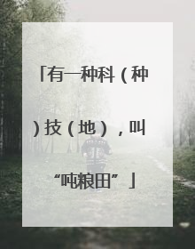 有一种科（种）技（地），叫“吨粮田”
