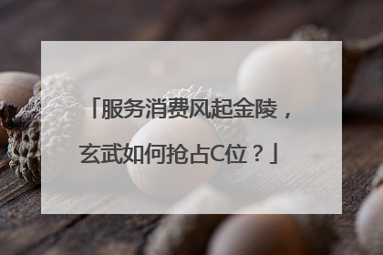 服务消费风起金陵，玄武如何抢占C位？