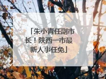 朱小青任副市长！陕西一市最新人事任免