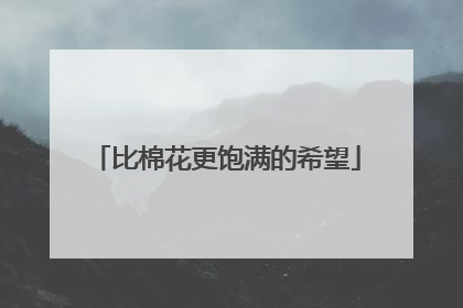 比棉花更饱满的希望