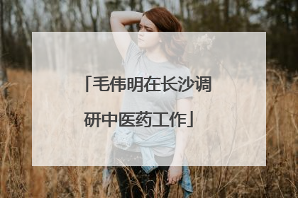 毛伟明在长沙调研中医药工作