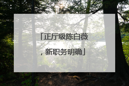 正厅级陈白薇，新职务明确