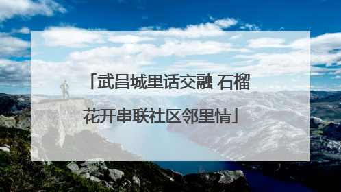 武昌城里话交融 石榴花开串联社区邻里情