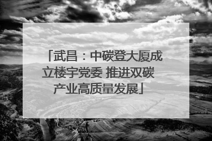 武昌：中碳登大厦成立楼宇党委 推进双碳产业高质量发展