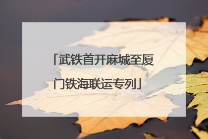 武铁首开麻城至厦门铁海联运专列