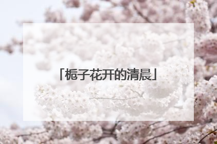 栀子花开的清晨
