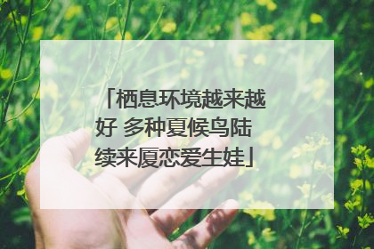 栖息环境越来越好 多种夏候鸟陆续来厦恋爱生娃
