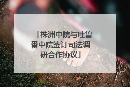 株洲中院与吐鲁番中院签订司法调研合作协议