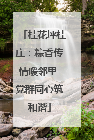 桂花坪桂庄：粽香传情暖邻里 党群同心筑和谐