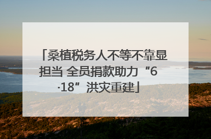 桑植税务人不等不靠显担当 全员捐款助力“6·18”洪灾重建