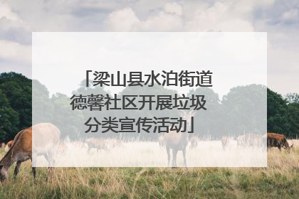 梁山县水泊街道德馨社区开展垃圾分类宣传活动