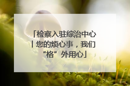 检察入驻综治中心丨您的烦心事，我们“格”外用心