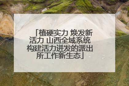 植硬实力 焕发新活力 山西全域系统构建活力迸发的派出所工作新生态