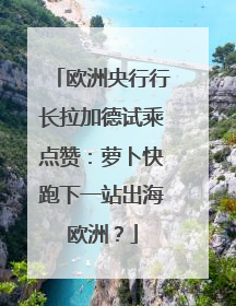 欧洲央行行长拉加德试乘点赞：萝卜快跑下一站出海欧洲？