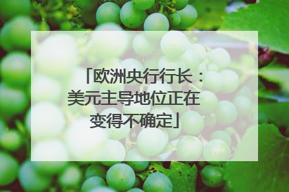 欧洲央行行长：美元主导地位正在变得不确定
