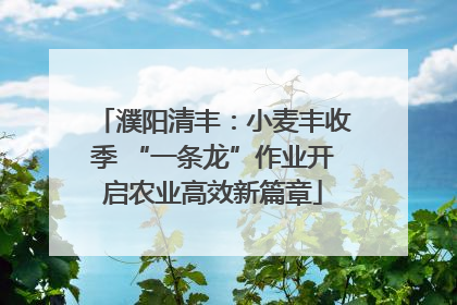 濮阳清丰：小麦丰收季 “一条龙”作业开启农业高效新篇章