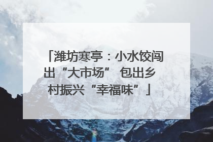 潍坊寒亭：小水饺闯出“大市场” 包出乡村振兴“幸福味”