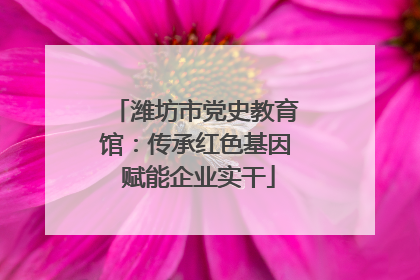 潍坊市党史教育馆：传承红色基因 赋能企业实干