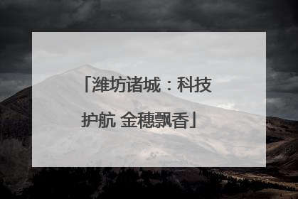 潍坊诸城：科技护航 金穗飘香