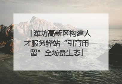潍坊高新区构建人才服务驿站“引育用留”全场景生态
