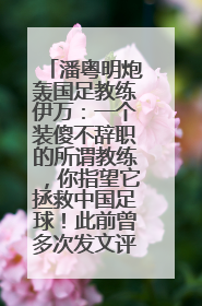 潘粤明炮轰国足教练伊万：一个装傻不辞职的所谓教练，你指望它拯救中国足球！此前曾多次发文评价国足