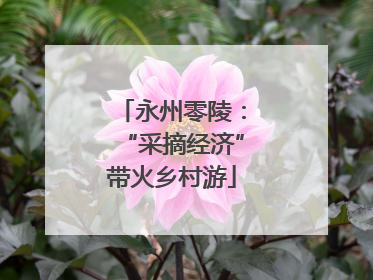 永州零陵：“采摘经济”带火乡村游