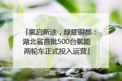 氢启新途，绿耀铜都：湖北省首批500台氢能两轮车正式投入运营