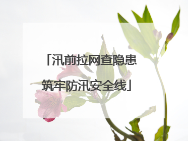 汛前拉网查隐患 筑牢防汛安全线