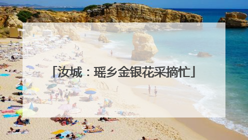 汝城：瑶乡金银花采摘忙