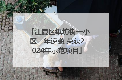 江夏区纸坊街一小区一年逆袭 荣获2024年示范项目