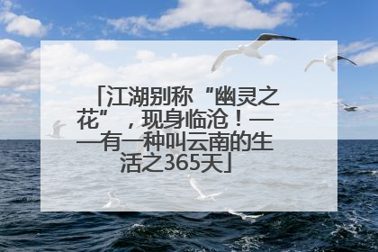 江湖别称“幽灵之花”，现身临沧！——有一种叫云南的生活之365天