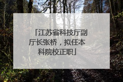 江苏省科技厅副厅长张桥，拟任本科院校正职