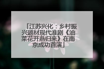 江苏兴化：乡村振兴题材现代淮剧《油菜花开燕归来》在南京成功首演