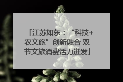 江苏如东：“科技+农文旅”创新融合 双节文旅消费活力迸发