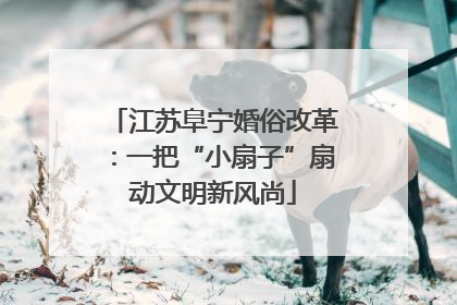 江苏阜宁婚俗改革：一把“小扇子”扇动文明新风尚