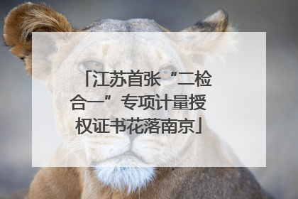 江苏首张“二检合一”专项计量授权证书花落南京