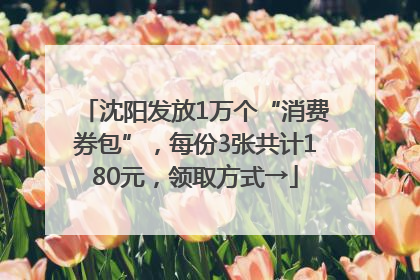 沈阳发放1万个“消费券包”，每份3张共计180元，领取方式→