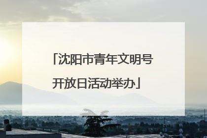沈阳市青年文明号开放日活动举办