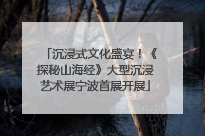 沉浸式文化盛宴！《探秘山海经》大型沉浸艺术展宁波首展开展