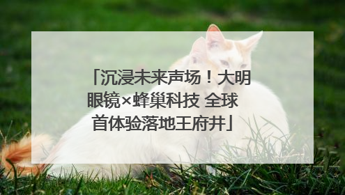 沉浸未来声场！大明眼镜×蜂巢科技 全球首体验落地王府井