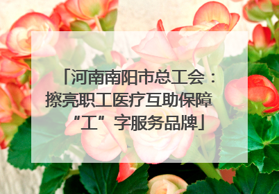 河南南阳市总工会：擦亮职工医疗互助保障“工”字服务品牌
