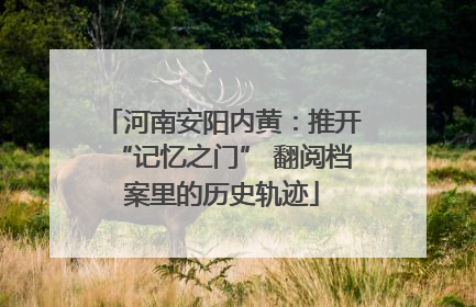 河南安阳内黄：推开“记忆之门” 翻阅档案里的历史轨迹