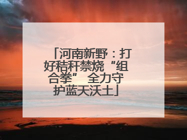 河南新野：打好秸秆禁烧“组合拳” 全力守护蓝天沃土