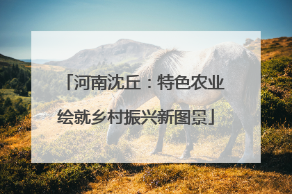 河南沈丘：特色农业绘就乡村振兴新图景