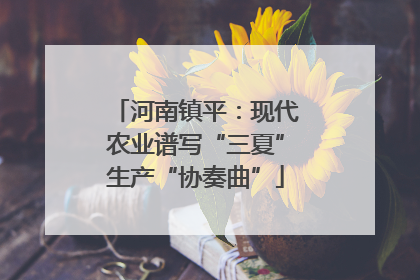 河南镇平：现代农业谱写“三夏”生产“协奏曲”