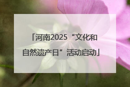 河南2025“文化和自然遗产日”活动启动
