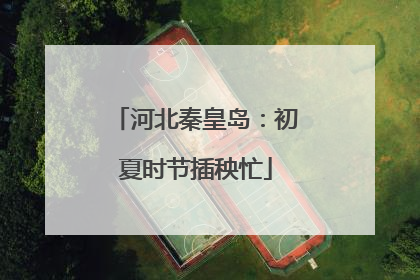 河北秦皇岛：初夏时节插秧忙
